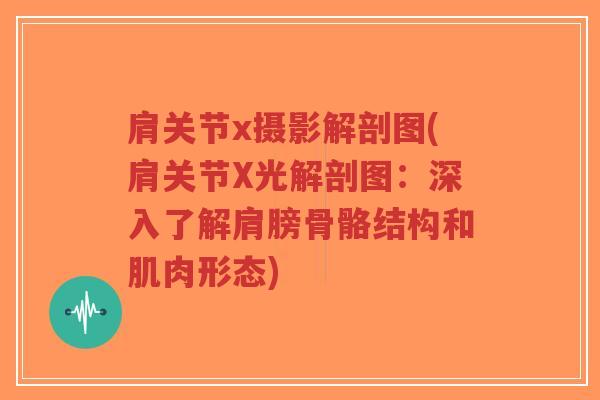 肩关节x摄影解剖图(肩关节X光解剖图:深入了解肩膀骨骼结构和肌肉形态) 肩关节x摄影解剖图(肩关节X光解剖图:深入了解肩膀骨骼结构和肌肉形态)