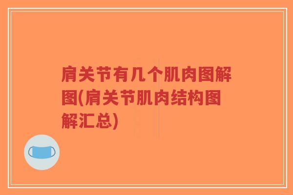 肩关节有几个肌肉图解图(肩关节肌肉结构图解汇总)