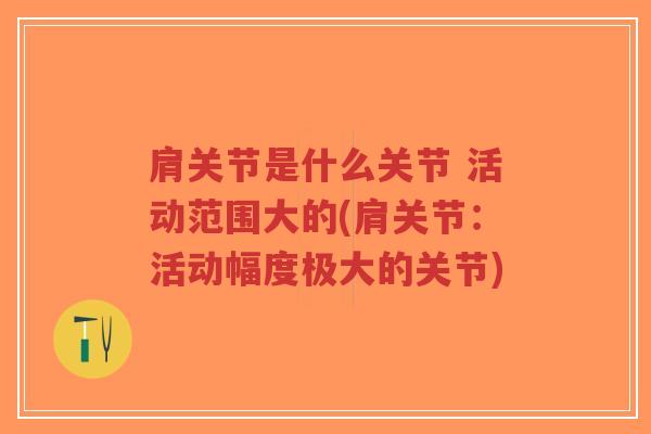 肩关节是什么关节 活动范围大的(肩关节：活动幅度极大的关节)