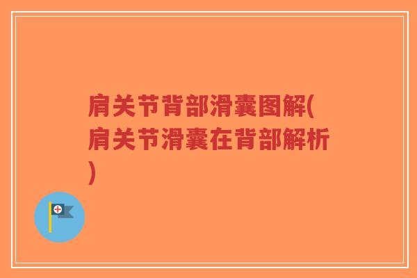 肩关节背部滑囊图解(肩关节滑囊在背部解析) 肩关节背部滑囊图解(肩关节滑囊在背部解析)