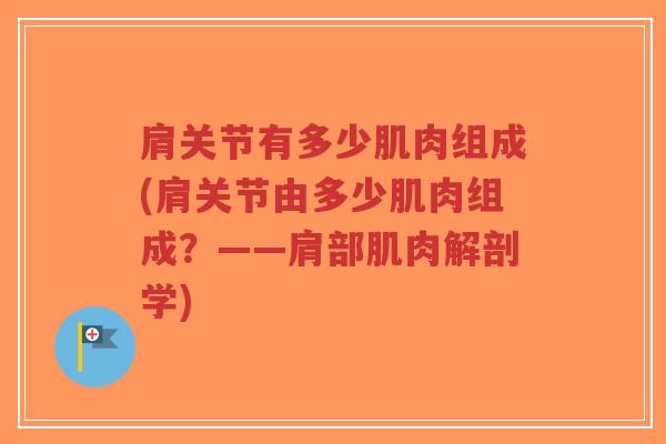 肩关节有多少肌肉组成(肩关节由多少肌肉组成?——肩部肌肉解剖学) 肩关节有多少肌肉组成(肩关节由多少肌肉组成?——肩部肌肉解剖学)