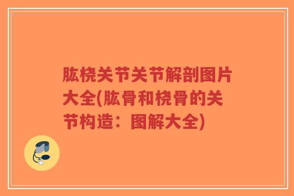 肱桡关节关节解剖图片大全(肱骨和桡骨的关节构造：图解大全)