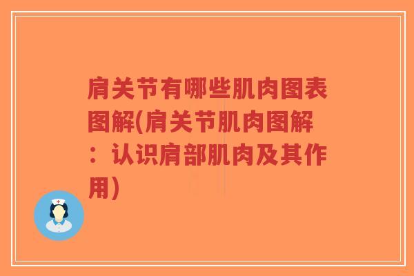 肩关节有哪些肌肉图表图解(肩关节肌肉图解:认识肩部肌肉及其作用) 肩关节有哪些肌肉图表图解(肩关节肌肉图解:认识肩部肌肉及其作用)