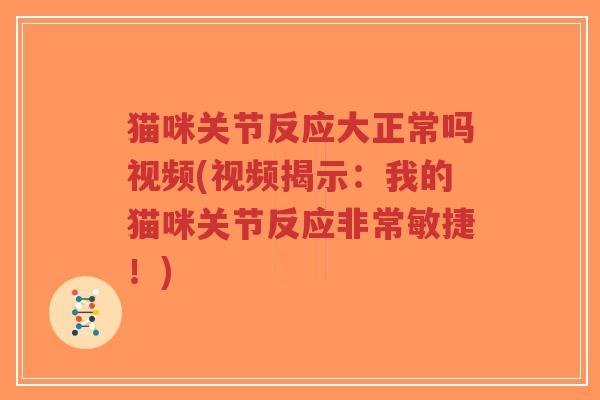 猫咪关节反应大正常吗视频(视频揭示:我的猫咪关节反应非常敏捷!) 猫咪关节反应大正常吗视频(视频揭示:我的猫咪关节反应非常敏捷!)
