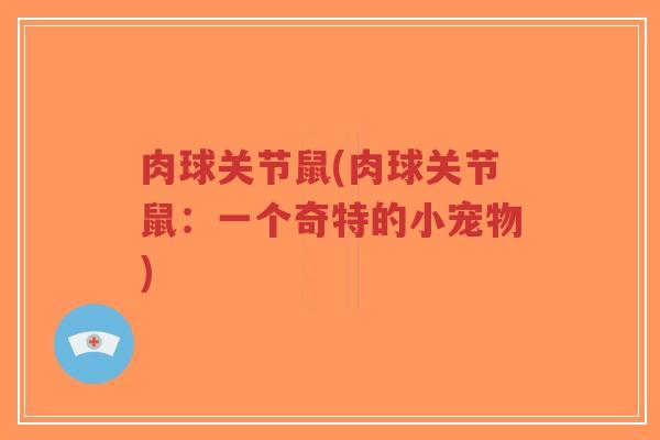 肉球关节鼠(肉球关节鼠:一个奇特的小宠物) 肉球关节鼠(肉球关节鼠:一个奇特的小宠物)
