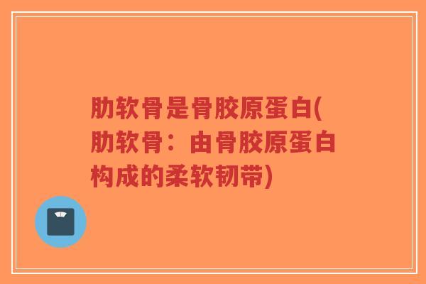 肋软骨是骨胶原蛋白(肋软骨：由骨胶原蛋白构成的柔软韧带)