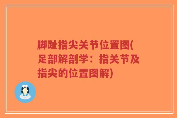 脚趾指尖关节位置图(足部解剖学：指关节及指尖的位置图解)