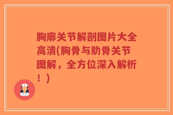 胸廓关节解剖图片大全高清(胸骨与肋骨关节图解,全方位深入解析!) 胸廓关节解剖图片大全高清(胸骨与肋骨关节图解,全方位深入解析!)