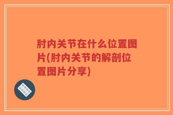 肘内关节在什么位置图片(肘内关节的解剖位置图片分享) 肘内关节在什么位置图片(肘内关节的解剖位置图片分享)