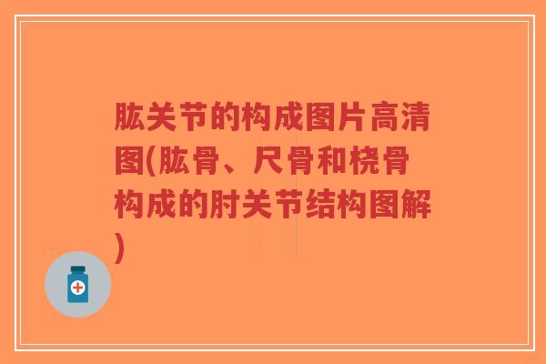 肱关节的构成图片高清图(肱骨、尺骨和桡骨构成的肘关节结构图解) 肱关节的构成图片高清图(肱骨、尺骨和桡骨构成的肘关节结构图解)