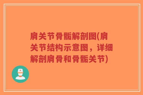 肩关节骨骺解剖图(肩关节结构示意图,详细解剖肩骨和骨骺关节) 肩关节骨骺解剖图(肩关节结构示意图,详细解剖肩骨和骨骺关节)