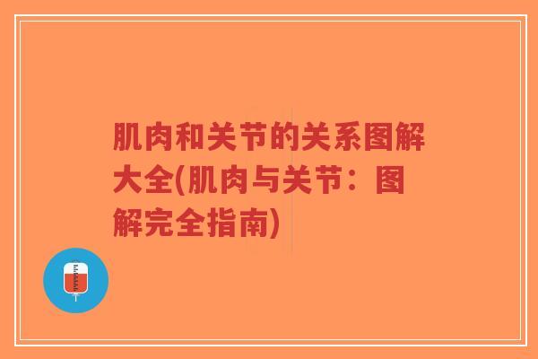 肌肉和关节的关系图解大全(肌肉与关节：图解完全指南)