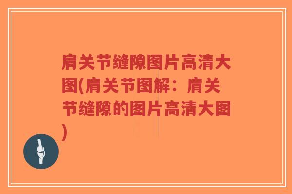 肩关节缝隙图片高清大图(肩关节图解：肩关节缝隙的图片高清大图)