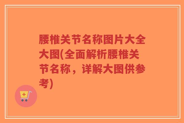 腰椎关节名称图片大全大图(全面解析腰椎关节名称,详解大图供参考) 腰椎关节名称图片大全大图(全面解析腰椎关节名称,详解大图供参考)