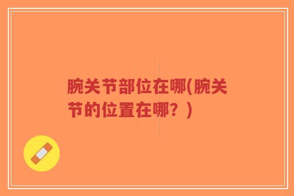 腕关节部位在哪(腕关节的位置在哪？)