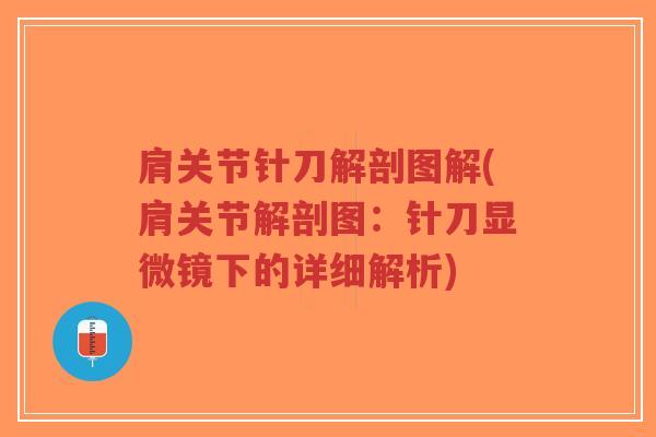 肩关节针刀解剖图解(肩关节解剖图：针刀显微镜下的详细解析)