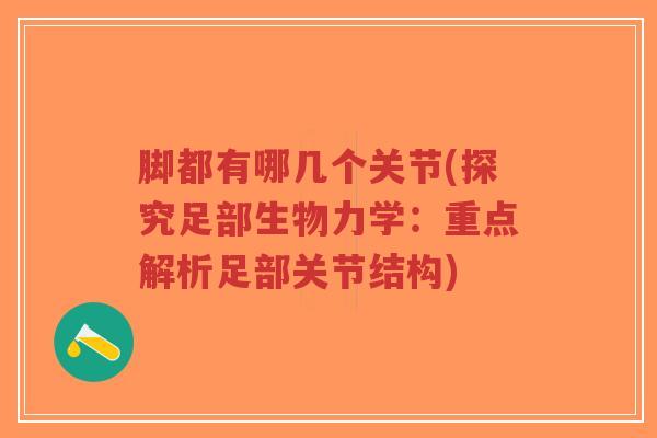 脚都有哪几个关节(探究足部生物力学：重点解析足部关节结构)