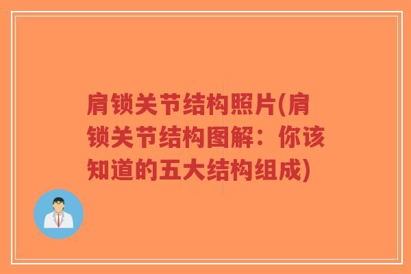 肩锁关节结构照片(肩锁关节结构图解:你该知道的五大结构组成) 肩锁关节结构照片(肩锁关节结构图解:你该知道的五大结构组成)