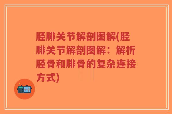 胫腓关节解剖图解(胫腓关节解剖图解：解析胫骨和腓骨的复杂连接方式)