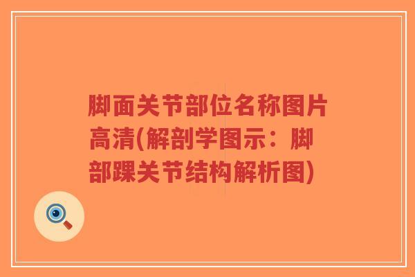 脚面关节部位名称图片高清(解剖学图示:脚部踝关节结构解析图) 脚面关节部位名称图片高清(解剖学图示:脚部踝关节结构解析图)