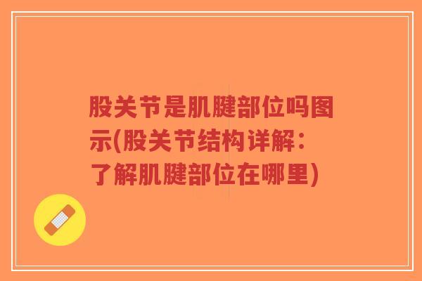 股关节是肌腱部位吗图示(股关节结构详解：了解肌腱部位在哪里)
