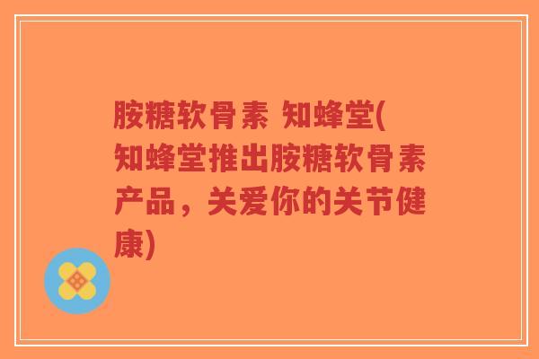 胺糖软骨素 知蜂堂(知蜂堂推出胺糖软骨素产品,关爱你的关节健康) 胺糖软骨素 知蜂堂(知蜂堂推出胺糖软骨素产品,关爱你的关节健康)