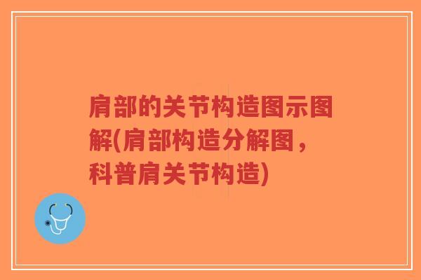 肩部的关节构造图示图解(肩部构造分解图，科普肩关节构造)