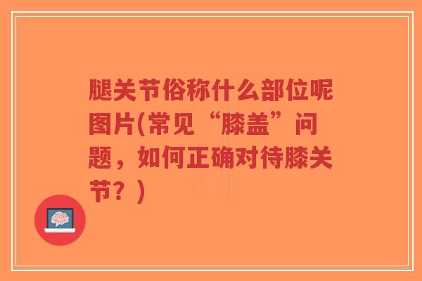 腿关节俗称什么部位呢图片(常见“膝盖”问题，如何正确对待膝关节？)