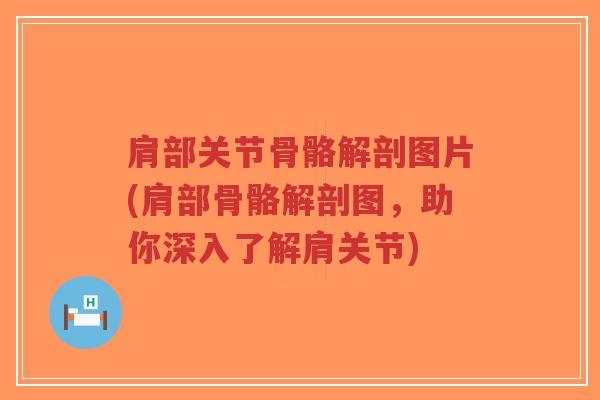 肩部关节骨骼解剖图片(肩部骨骼解剖图,助你深入了解肩关节) 肩部关节骨骼解剖图片(肩部骨骼解剖图,助你深入了解肩关节)