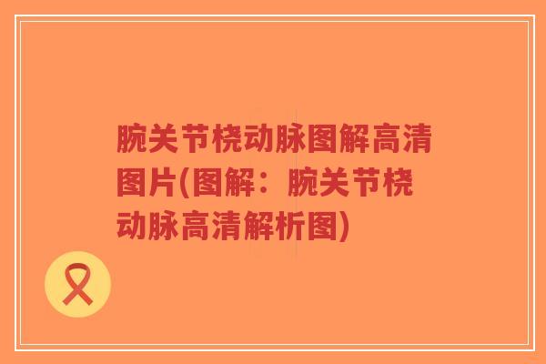 腕关节桡动脉图解高清图片(图解：腕关节桡动脉高清解析图)