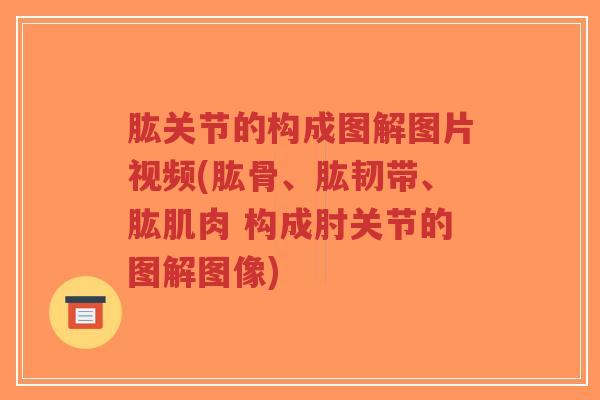 肱关节的构成图解图片视频(肱骨、肱韧带、肱肌肉 构成肘关节的图解图像) 肱关节的构成图解图片视频(肱骨、肱韧带、肱肌肉 构成肘关节的图解图像)