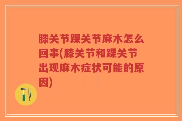 膝关节踝关节麻木怎么回事(膝关节和踝关节出现麻木症状可能的原因) 膝关节踝关节麻木怎么回事(膝关节和踝关节出现麻木症状可能的原因)