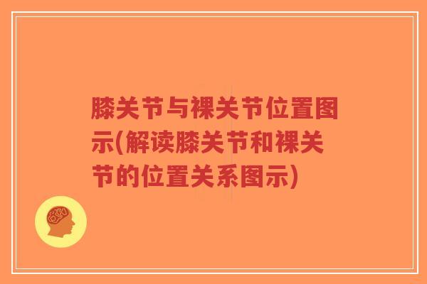 膝关节与裸关节位置图示(解读膝关节和裸关节的位置关系图示)