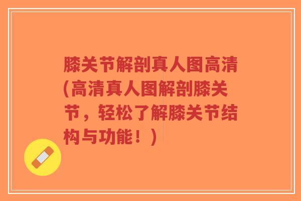 膝关节解剖真人图高清(高清真人图解剖膝关节，轻松了解膝关节结构与功能！)