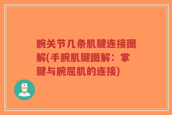 腕关节几条肌腱连接图解(手腕肌腱图解:掌腱与腕屈肌的连接) 腕关节几条肌腱连接图解(手腕肌腱图解:掌腱与腕屈肌的连接)