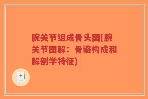 腕关节组成骨头图(腕关节图解:骨骼构成和解剖学特征) 腕关节组成骨头图(腕关节图解:骨骼构成和解剖学特征)