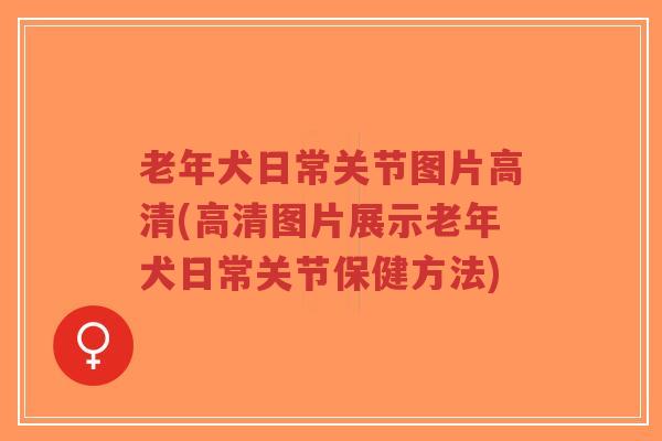 老年犬日常关节图片高清(高清图片展示老年犬日常关节保健方法) 老年犬日常关节图片高清(高清图片展示老年犬日常关节保健方法)