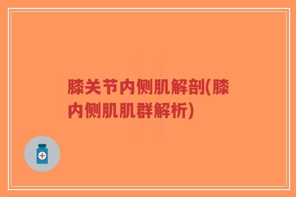 膝关节内侧肌解剖(膝内侧肌肌群解析) 膝关节内侧肌解剖(膝内侧肌肌群解析)