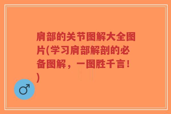 肩部的关节图解大全图片(学习肩部解剖的必备图解，一图胜千言！)