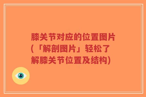 膝关节对应的位置图片(「解剖图片」轻松了解膝关节位置及结构)