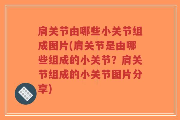 肩关节由哪些小关节组成图片(肩关节是由哪些组成的小关节?肩关节组成的小关节图片分享) 肩关节由哪些小关节组成图片(肩关节是由哪些组成的小关节?肩关节组成的小关节图片分享)