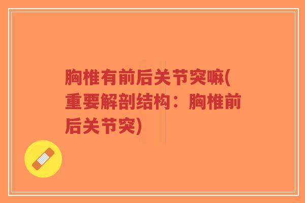 胸椎有前后关节突嘛(重要解剖结构：胸椎前后关节突)
