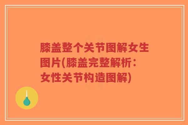 膝盖整个关节图解女生图片(膝盖完整解析:女性关节构造图解) 膝盖整个关节图解女生图片(膝盖完整解析:女性关节构造图解)