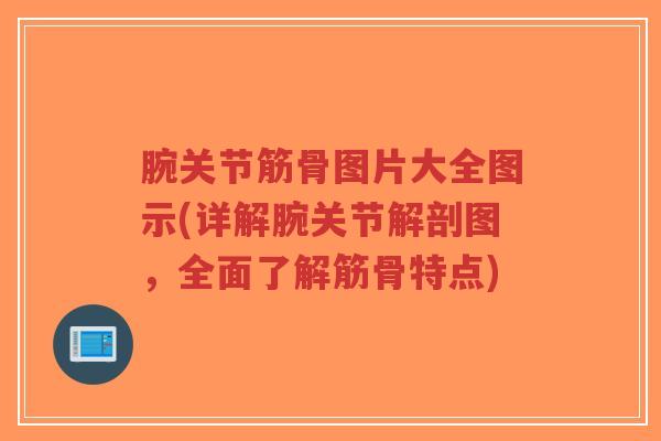 腕关节筋骨图片大全图示(详解腕关节解剖图,全面了解筋骨特点) 腕关节筋骨图片大全图示(详解腕关节解剖图,全面了解筋骨特点)