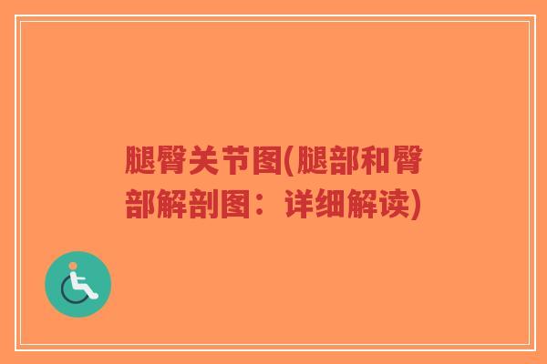 腿臀关节图(腿部和臀部解剖图:详细解读) 腿臀关节图(腿部和臀部解剖图:详细解读)