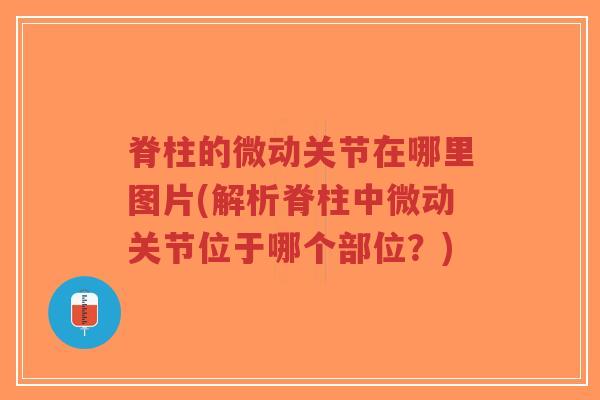 脊柱的微动关节在哪里图片(解析脊柱中微动关节位于哪个部位?) 脊柱的微动关节在哪里图片(解析脊柱中微动关节位于哪个部位?)