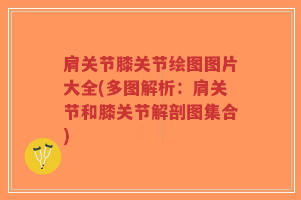 肩关节膝关节绘图图片大全(多图解析:肩关节和膝关节解剖图集合) 肩关节膝关节绘图图片大全(多图解析:肩关节和膝关节解剖图集合)