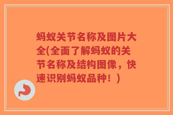 蚂蚁关节名称及图片大全(全面了解蚂蚁的关节名称及结构图像，快速识别蚂蚁品种！)