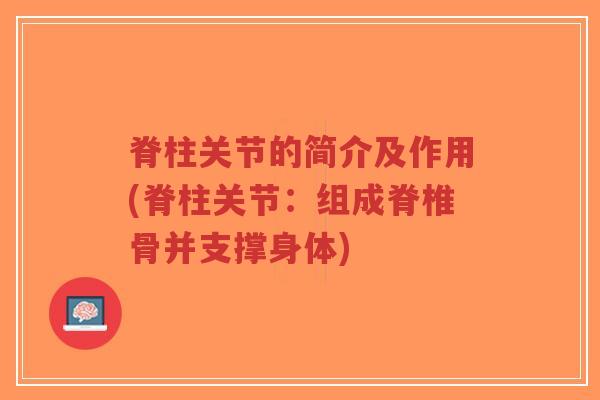 脊柱关节的简介及作用(脊柱关节：组成脊椎骨并支撑身体)