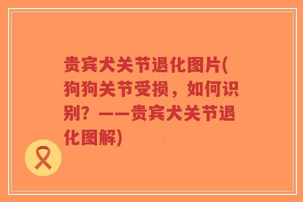 贵宾犬关节退化图片(狗狗关节受损，如何识别？——贵宾犬关节退化图解)